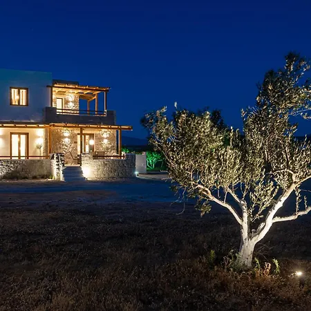 Naxos Beachwalk Plaka Villa *